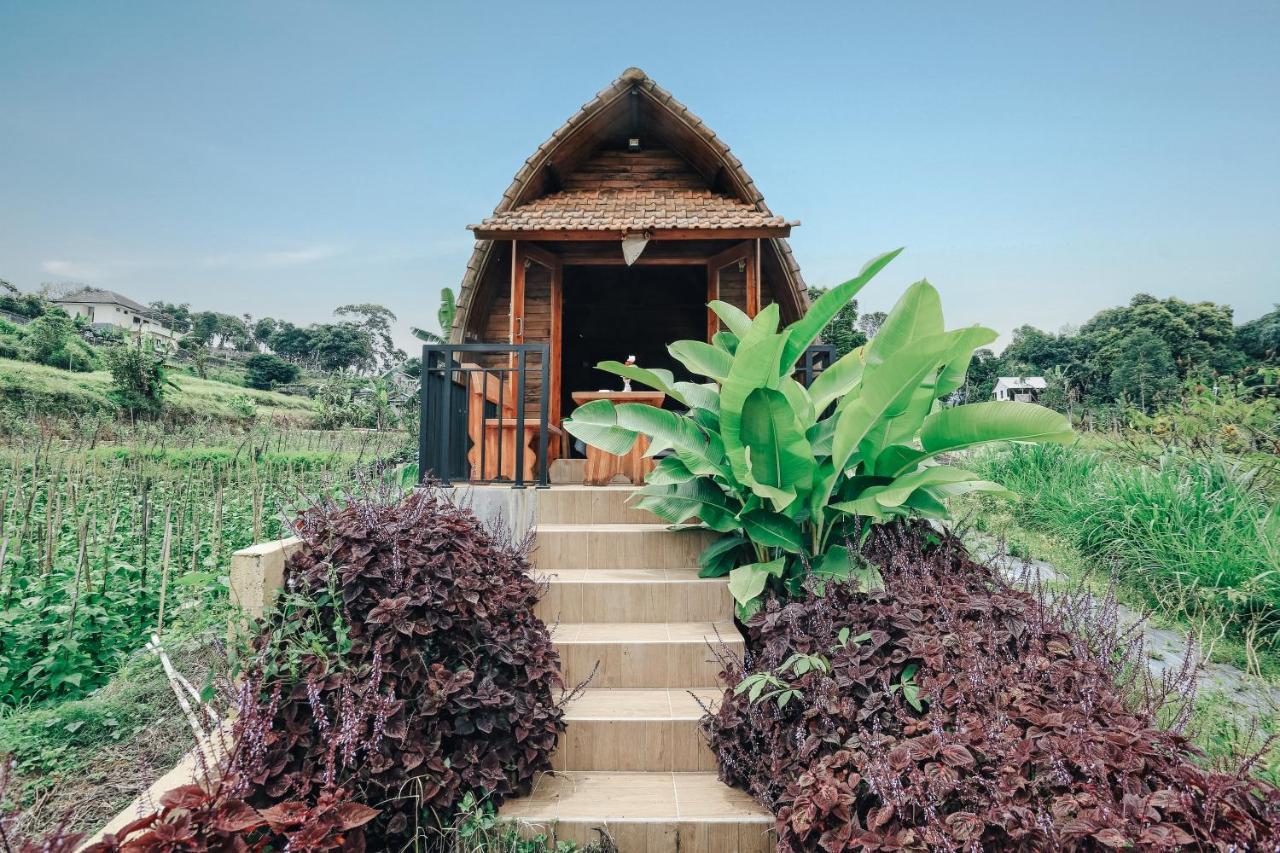 Tunjung Sari Villa Bedugul بيدوغول المظهر الخارجي الصورة