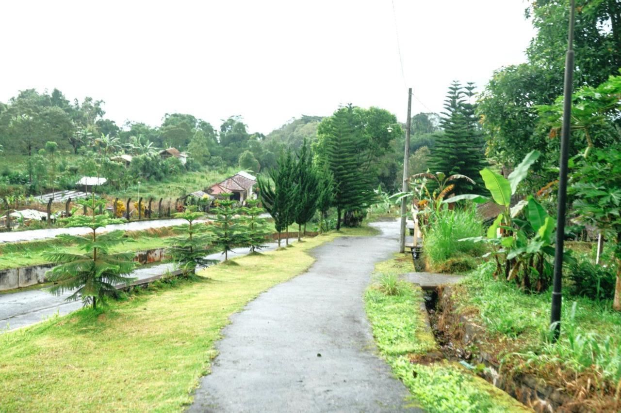 Tunjung Sari Villa Bedugul بيدوغول المظهر الخارجي الصورة