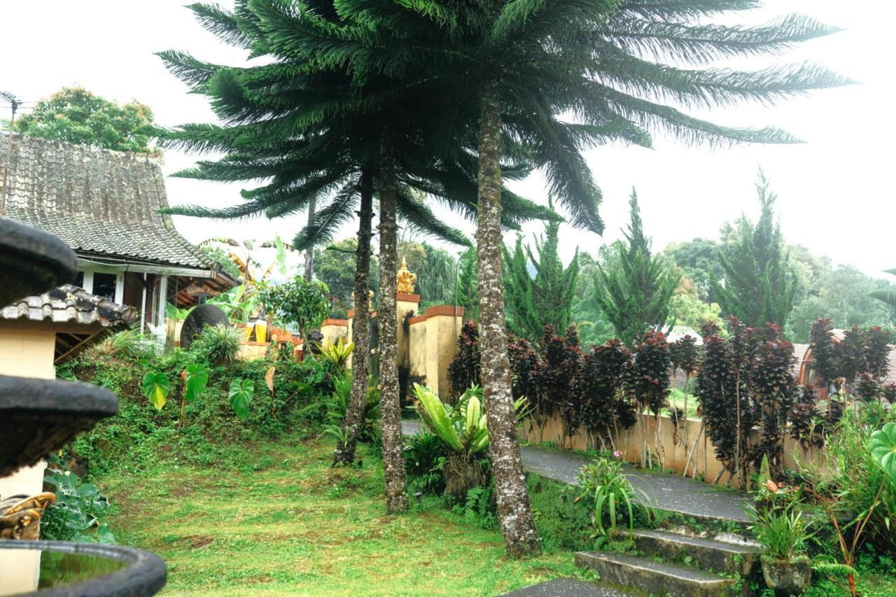 Tunjung Sari Villa Bedugul بيدوغول المظهر الخارجي الصورة